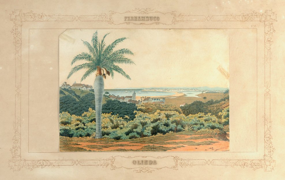 Olinda de Emil Bauch