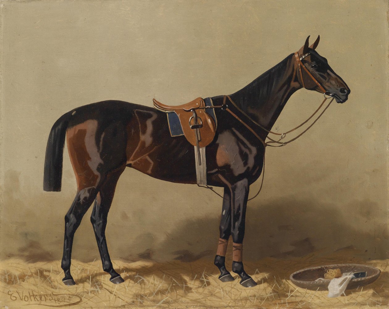 Caballo deportivo ensillado de Emil Volkers
