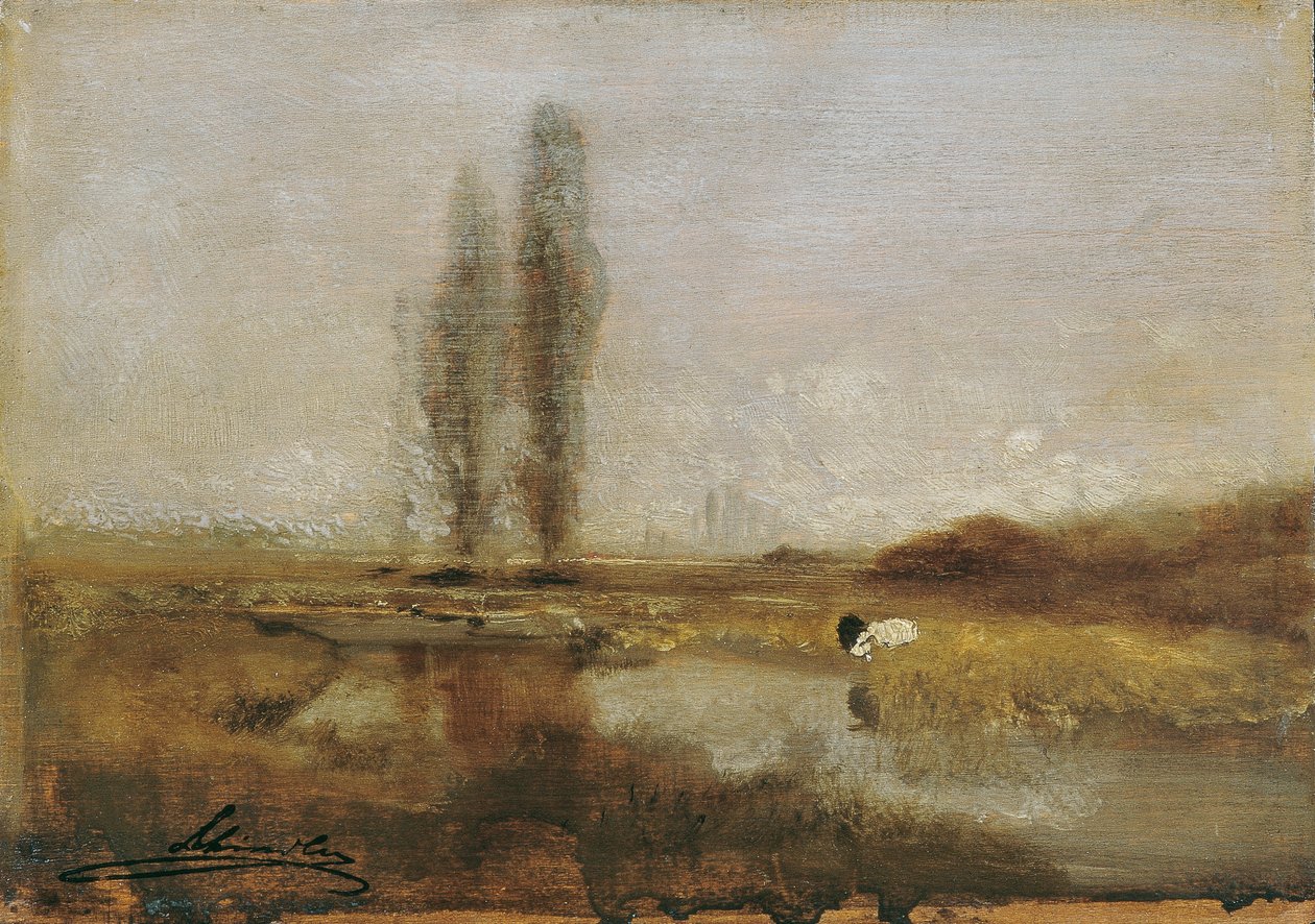 Páramos cerca de Lundenburg de Emil Jakob Schindler