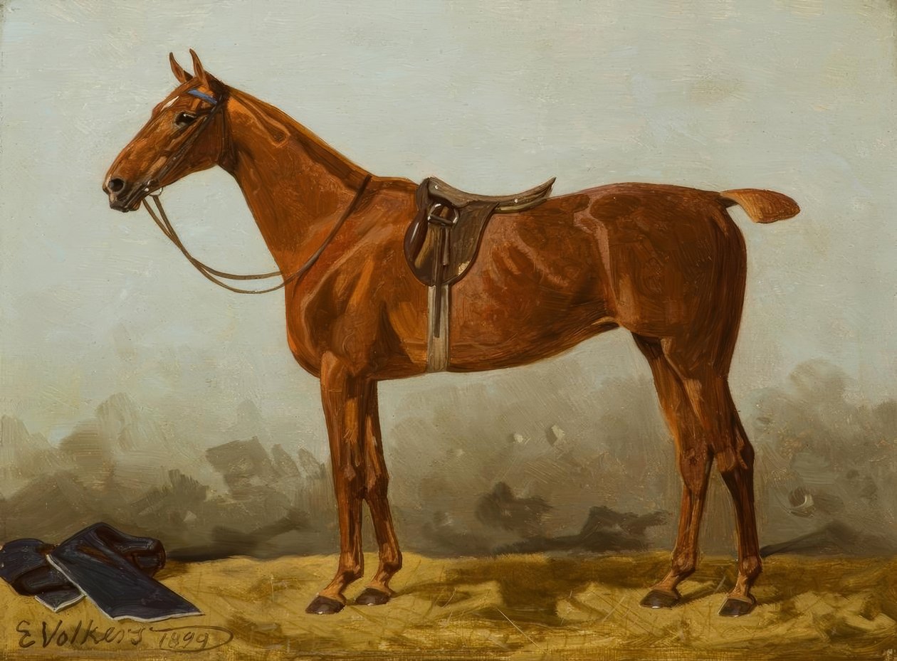 E.Volkers, Zorro ensillado de Emil Volkers