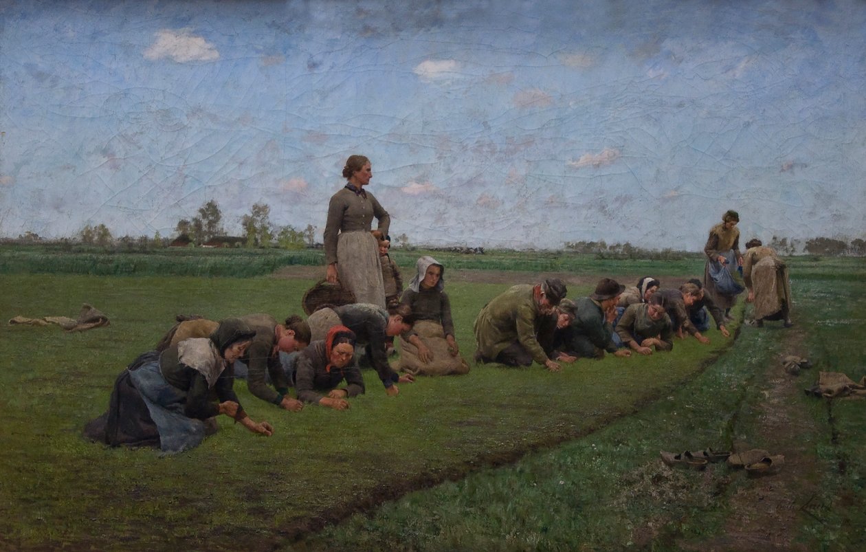 Campos de lino en Flandes de Emile Claus
