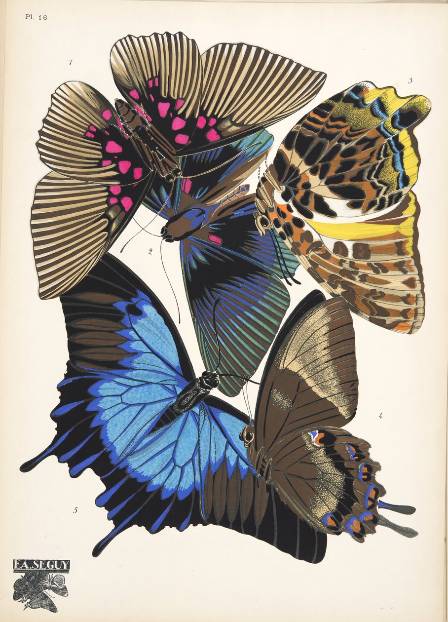 Lámina 16, de Papillons, pub. 1925 (impresión de pochoir) de Émile Allain Séguy