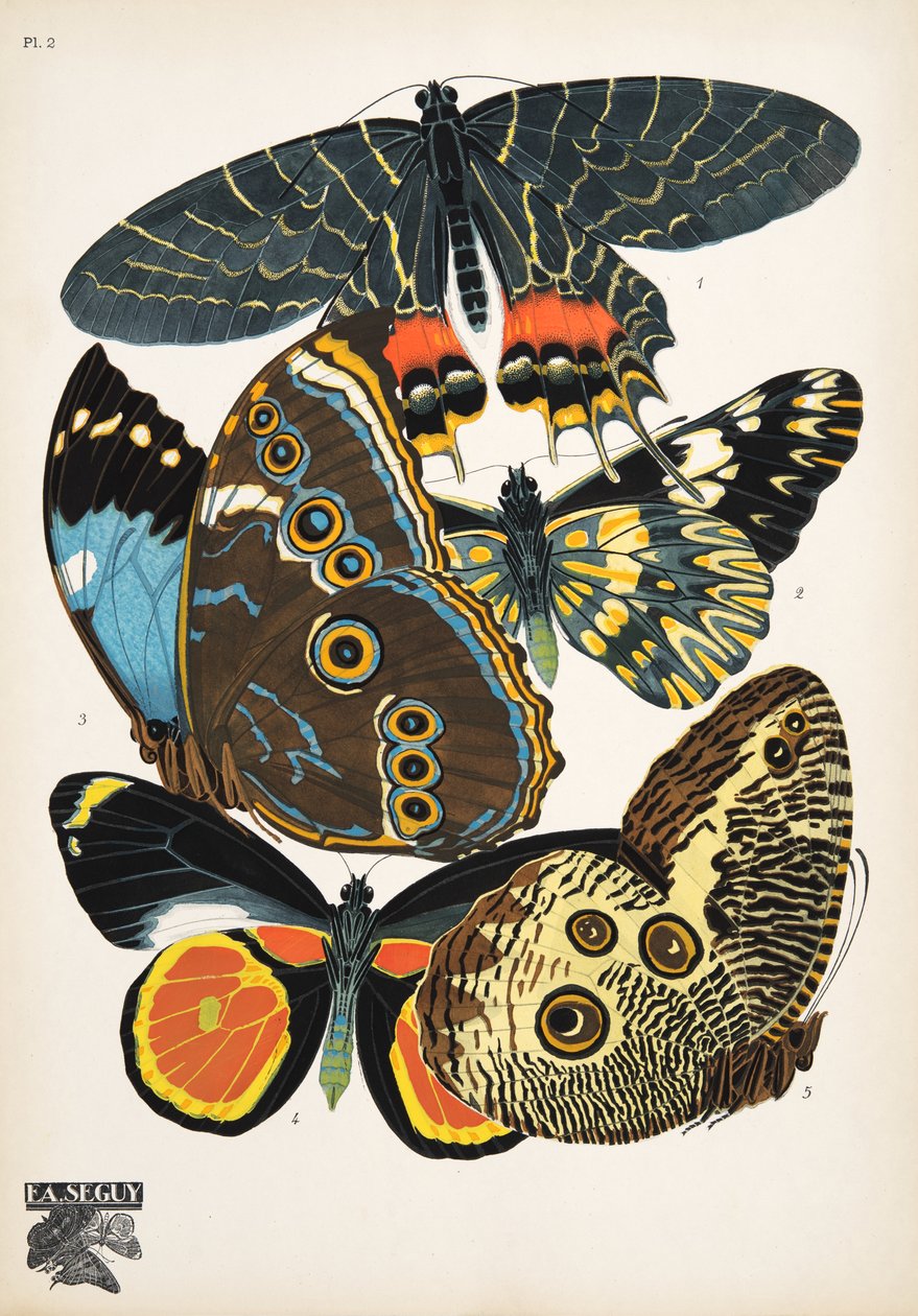 Lámina 2, de Papillons, pub. 1925 (impresión de pochoir) de Émile Allain Séguy
