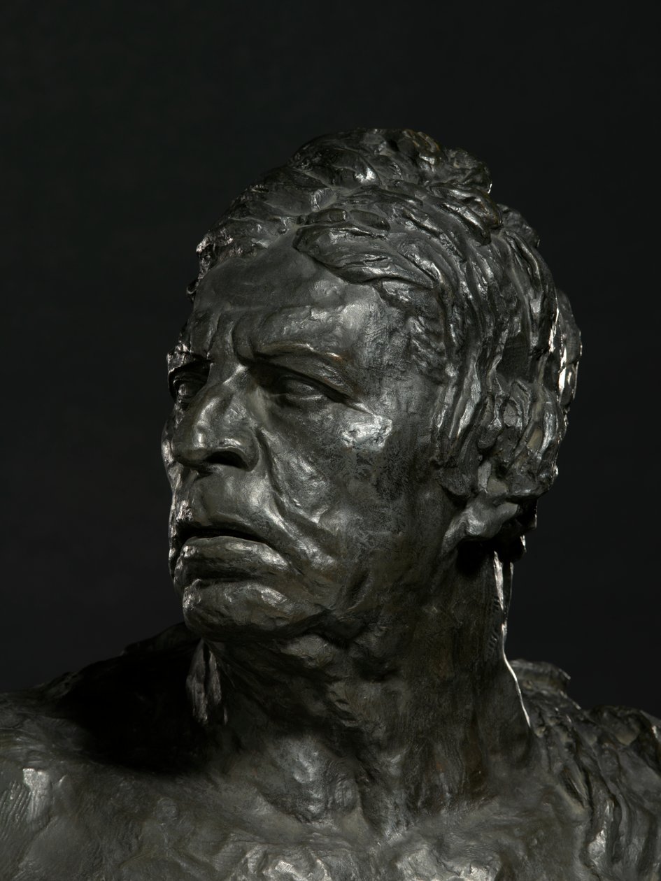 Busto de Ingres (bronce) (detalle de 471055) de Emile Antoine Bourdelle