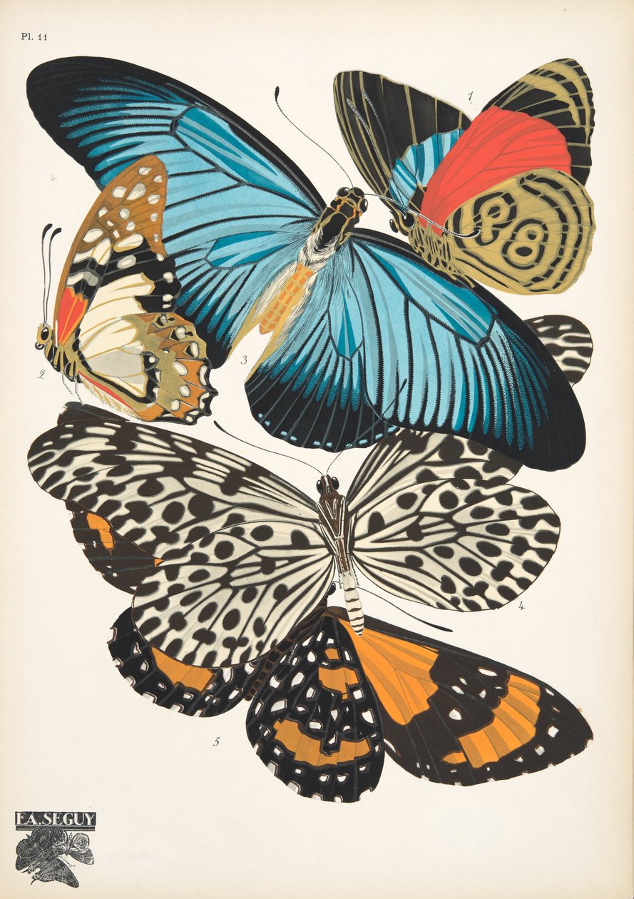 Lámina 11, de Papillons, pub. 1925 (impresión de pochoir) de Émile Allain Séguy