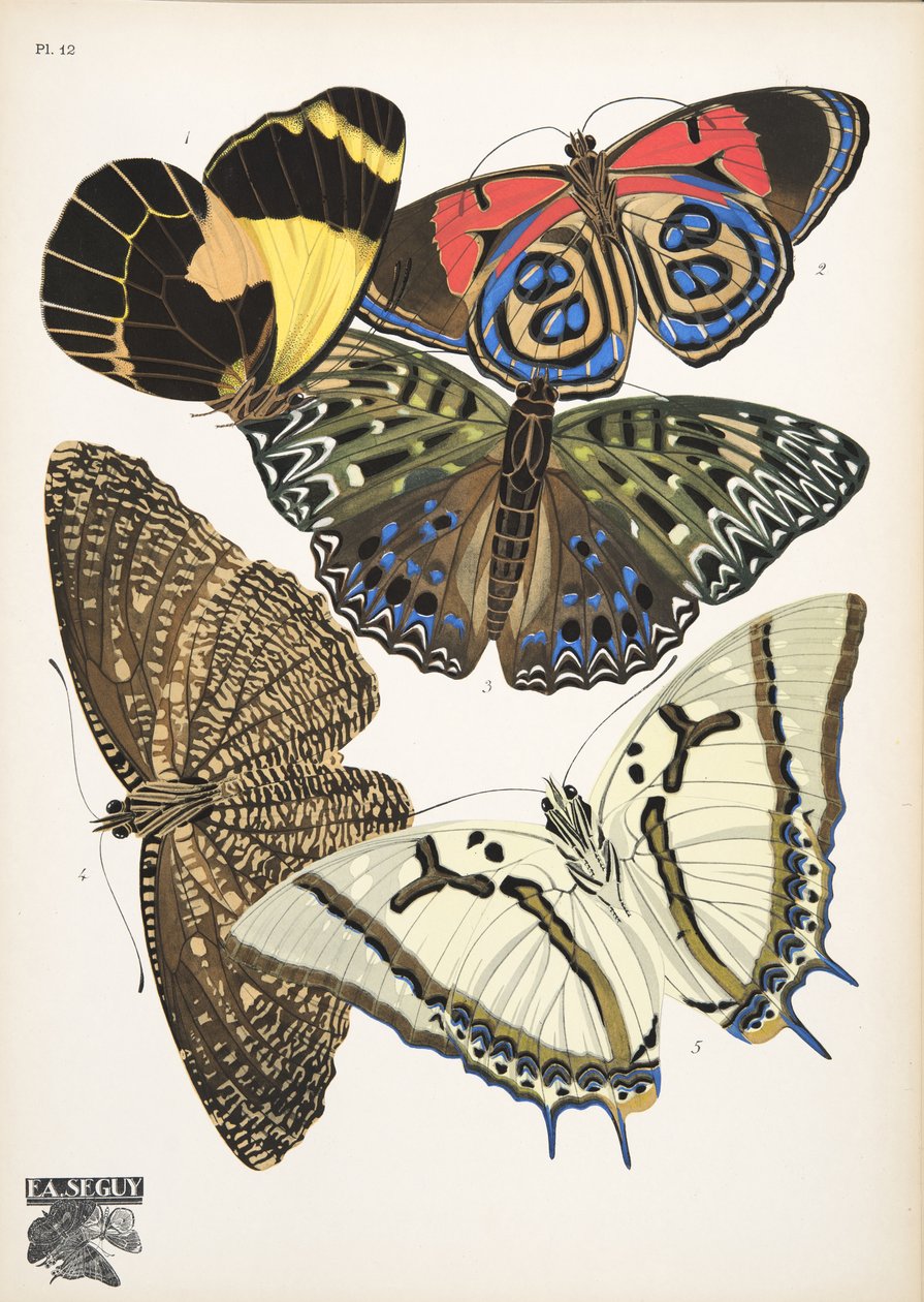 Lámina 12, de Papillons, pub. 1925 (impresión de pochoir) de Émile Allain Séguy