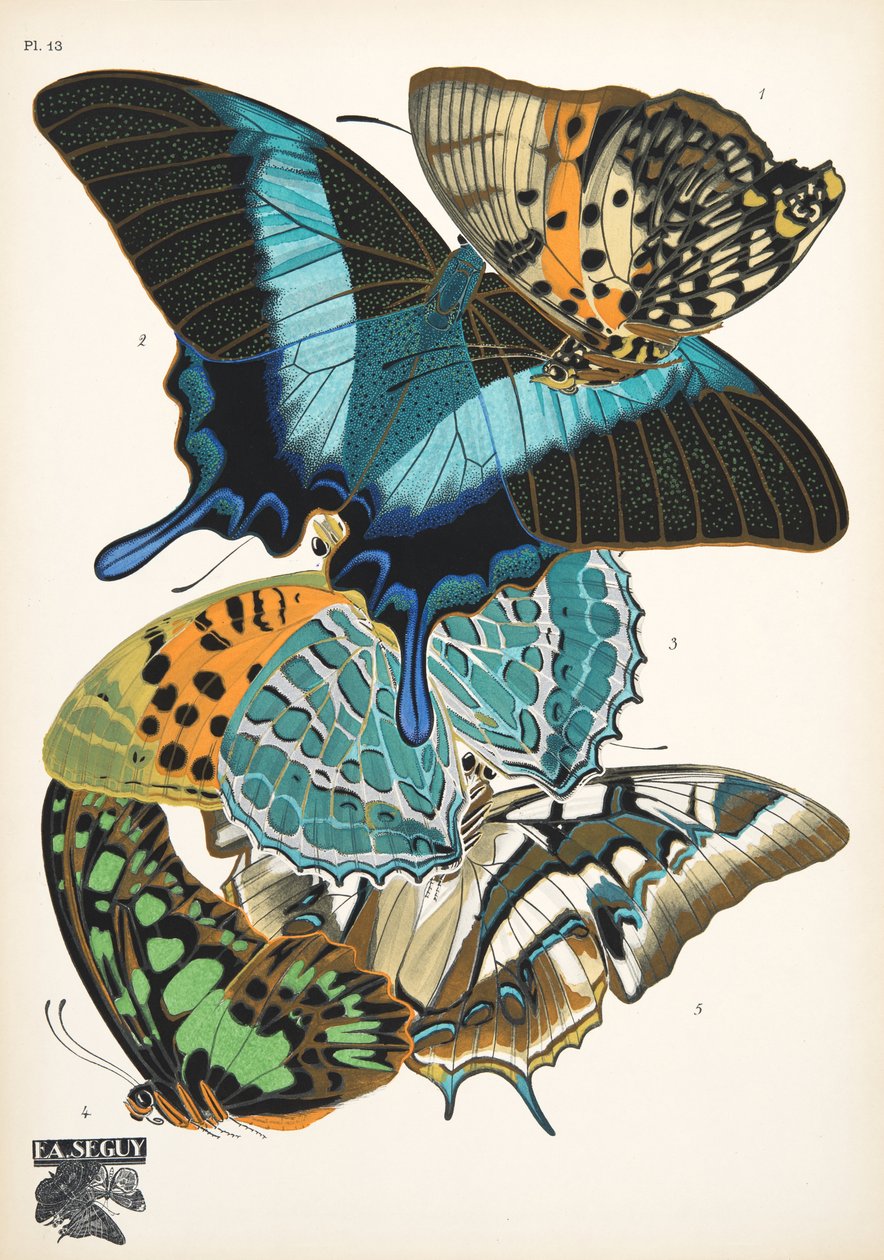 Lámina 13, de Papillons, pub. 1925 (impresión de pochoir) de Émile Allain Séguy