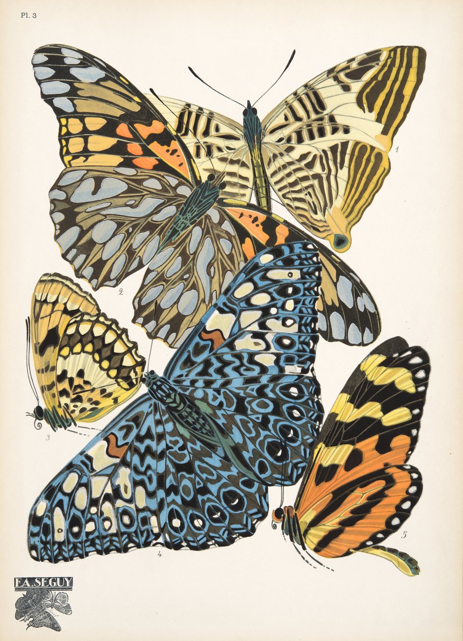 Lámina 3, de Papillons, pub. 1925 (impresión de pochoir) de Émile Allain Séguy