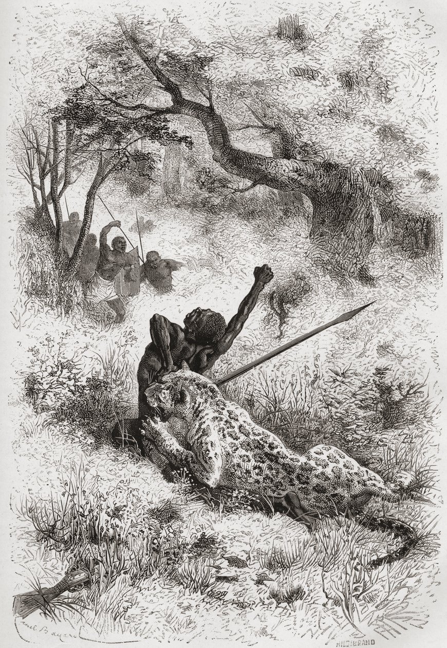 Un leopardo atacando a un africano, ilustración de 