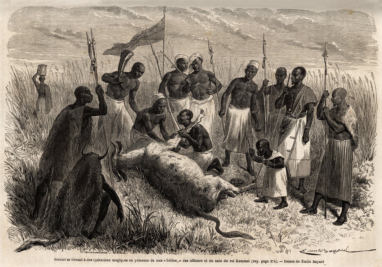 Un hechicero realiza operaciones mágicas sobre un buey sacrificado en Uganda, dibujo de Emile Bayard (1837-1891), ilustrando el viaje de descubrimiento del Capitán Speke en África de 1860 a 1863. Grabado en “Le tour du monde”, editado por Edouard Charton de Emile Antoine Bayard