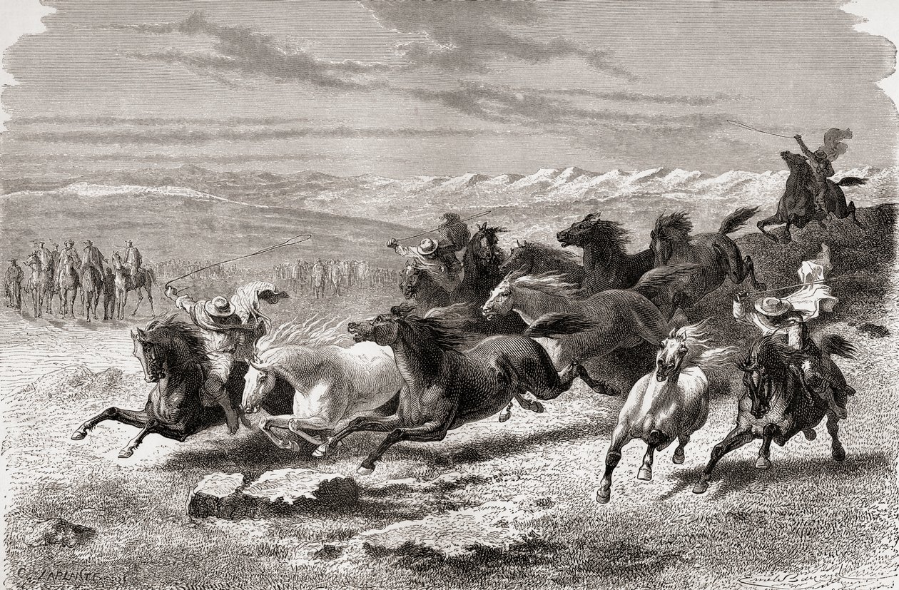 Gauchos argentinos reuniendo caballos salvajes, ilustración de 