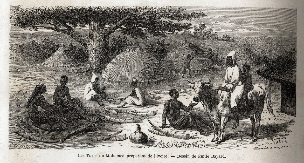 Preparación de marfil, para un comerciante turco, Uganda, dibujo de Emile Bayard (1837-1891), ilustrando el viaje de descubrimiento del Capitán Speke en África de 1860 a 1863. Grabado en “Le tour du monde”, editado por Edouard Charton de Emile Antoine Bayard