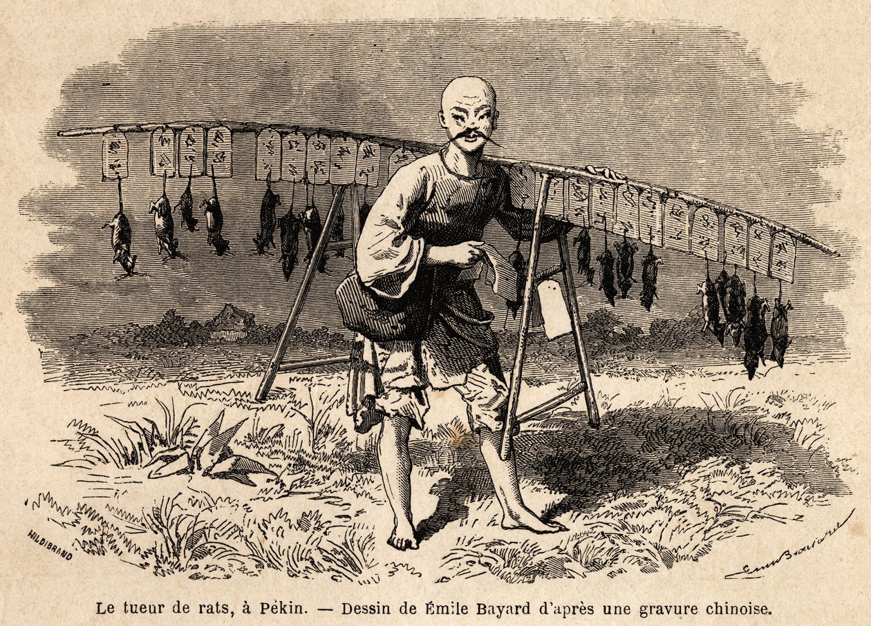 El cazador de ratas en Pekín. Dibujo de Emile Bayard (1837-1891), para ilustrar el viaje de Shanghái a Moscú, de 1859 a 1862, por M. de Bourboulon, Ministro de Francia en China. Grabado en “” Le tour du monde””, editado por Edouard Charton de Emile Antoine Bayard