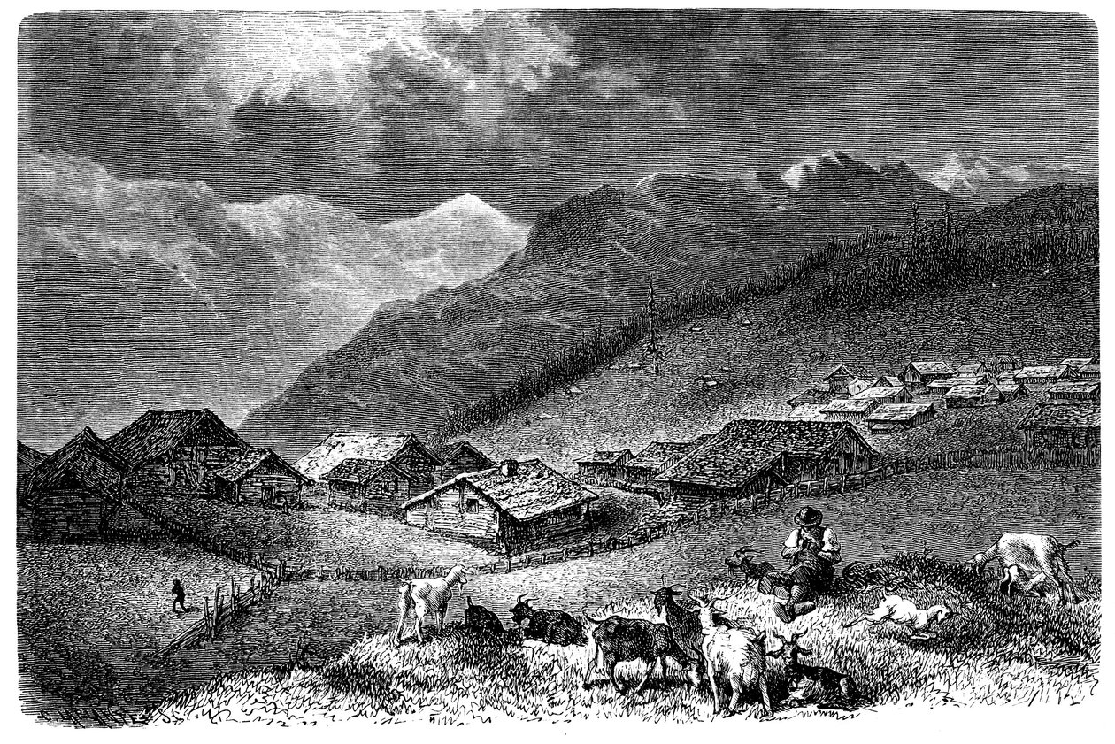 Pueblo en los Alpes. Murren, en el Oberland bernés, altitud 1630 metros. Pastor cuidando su rebaño de cabras y ovejas. Ilustración de Emile Bayard para el libro de Albert Dupaigne “Les Montagnes”, edición Mame 1881. de Emile Antoine Bayard