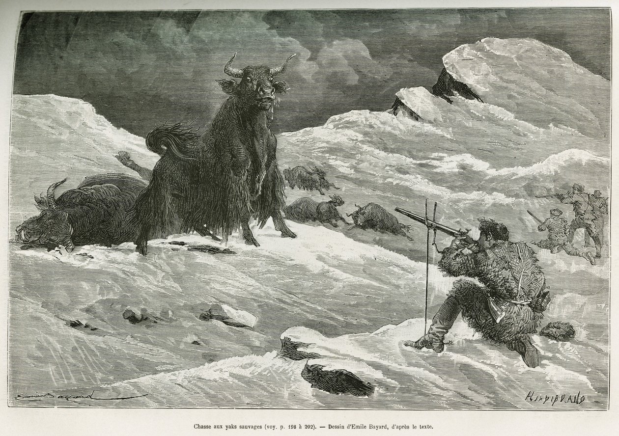 Escena de caza de yak salvaje, dibujo de Emile Bayard para ilustrar el viaje a Mongolia y la tierra de los Tangoutes de 1870 a 1873, por el Teniente Coronel Prjewalski. Grabado en Le tour du monde de Emile Antoine Bayard