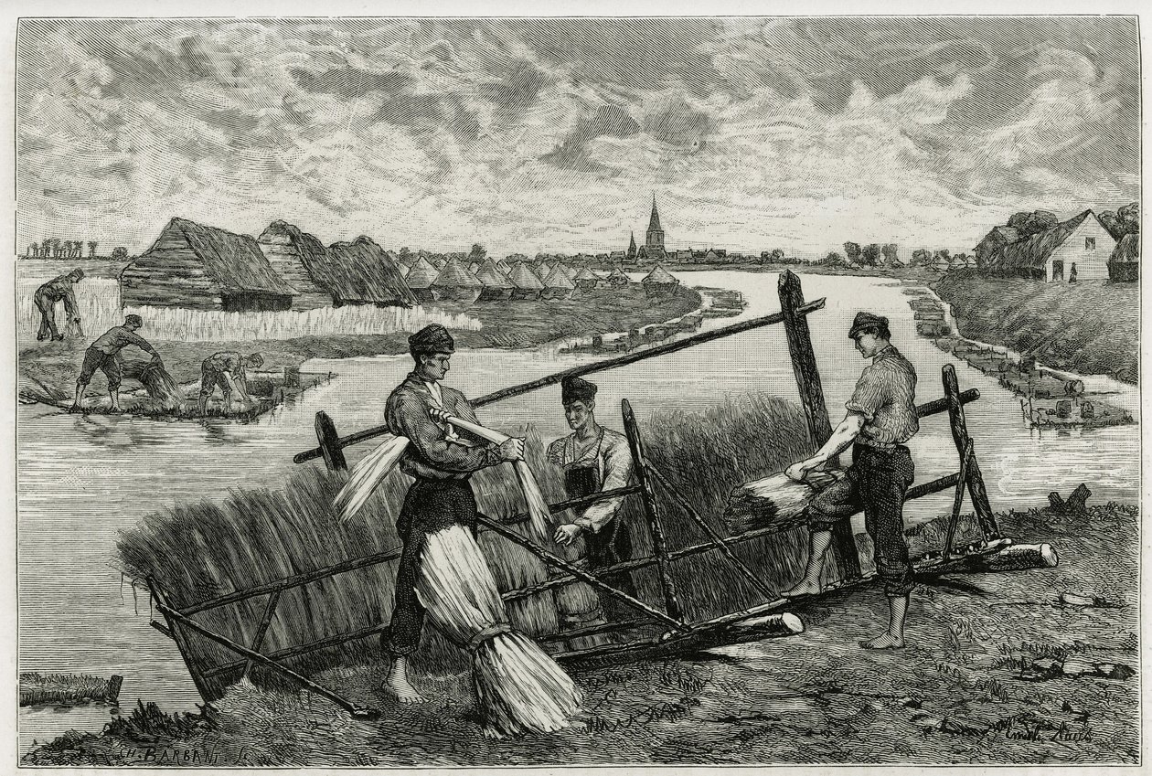 El óxido del lino (maceración para facilitar la separación de la corteza del tallo) en el Lys (río del norte de Francia y Bélgica). Grabado por Emile Claus, para ilustrar la historia “” La Belgique””, por Camille Lemonnier (1844-1913), escritor y crítico d de Emile Claus