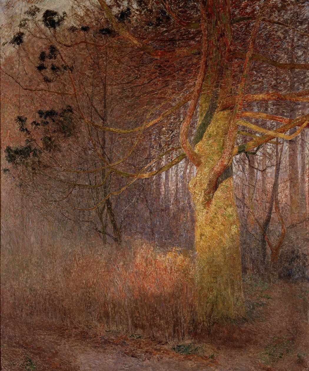 Árbol soleado de Emile Claus