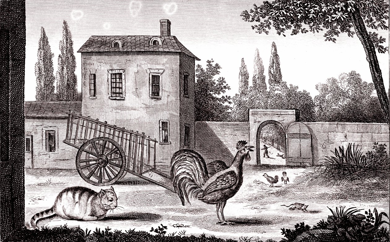 El gallo, el gato y el ratón, Fábula de La Fontaine de Emile Joseph Alexandre Gouget
