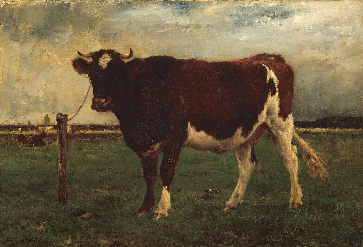 Estudio de una vaca de Emile van Marcke de Lummen
