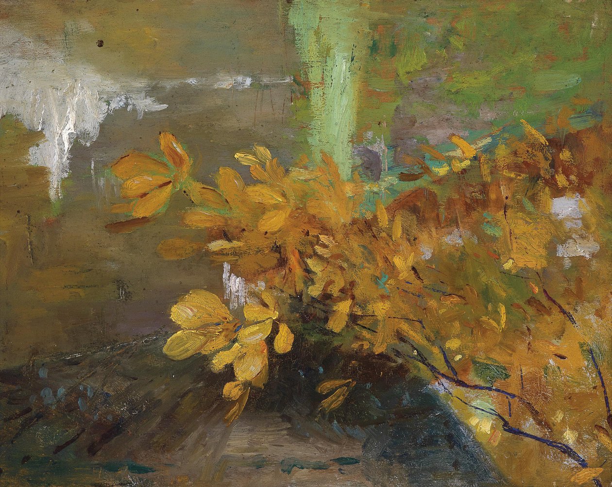 P1476,de de Emilie Mediz Pelikan