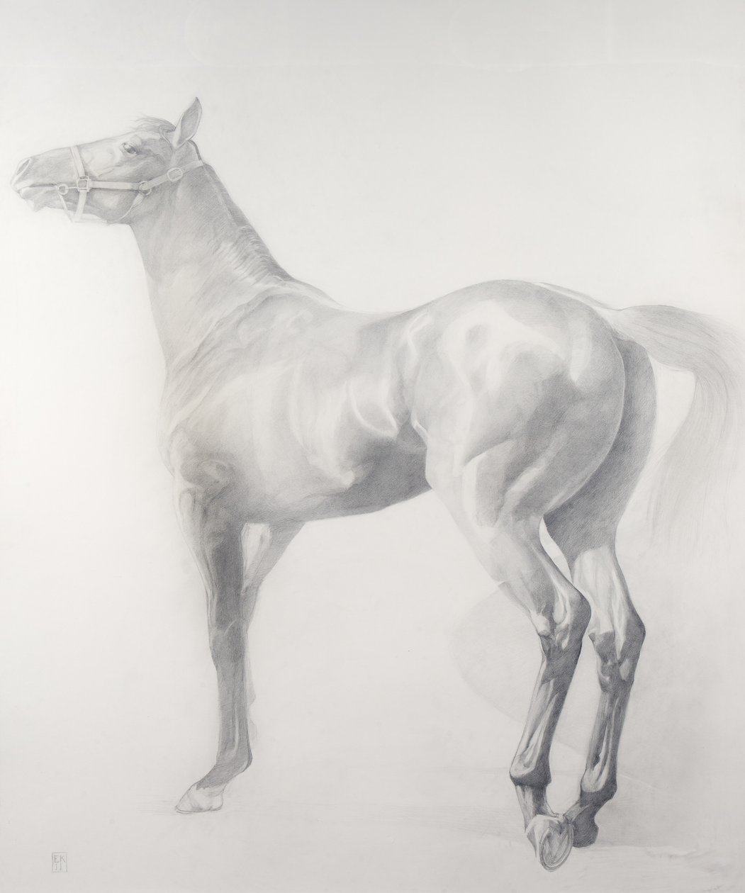 Comenzando, Serie 3, 2011 de Emma Kennaway