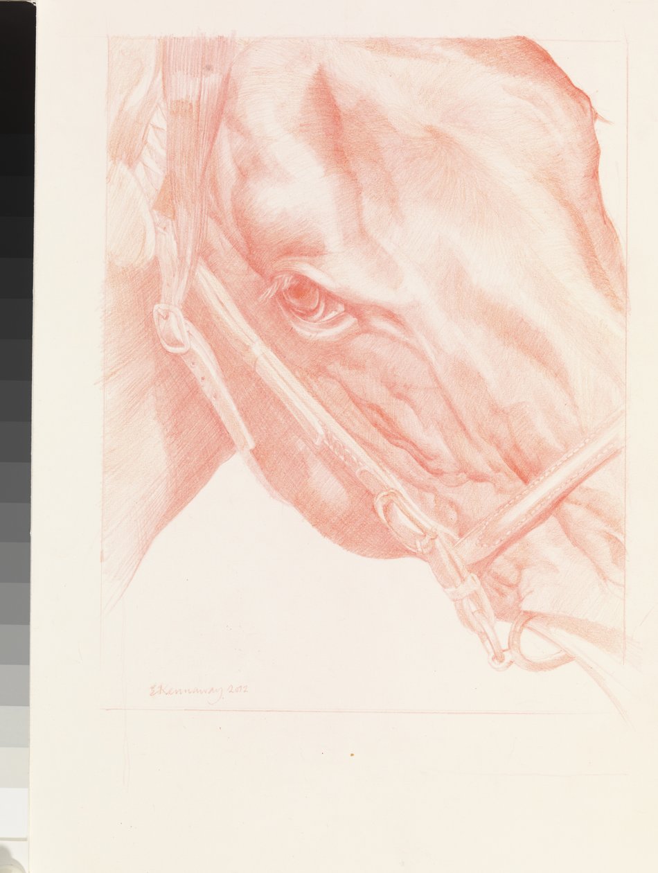 Cabeza de retrato, 2012 de Emma Kennaway