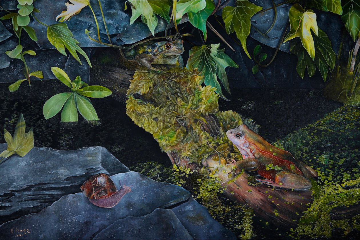 Vida en un estanque, 2021 (óleo sobre lienzo) de Emma Pewsey