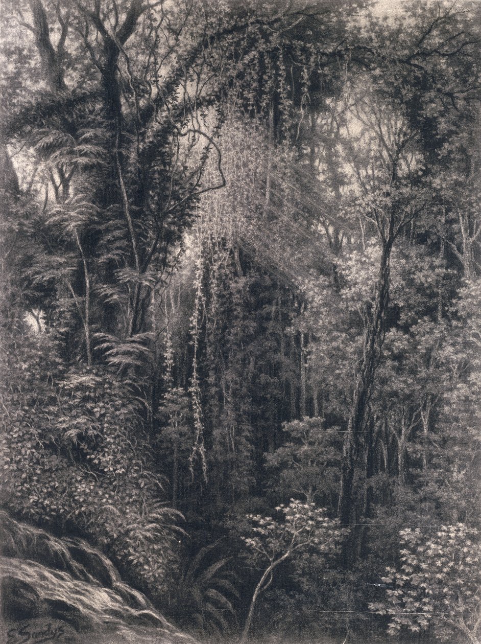 Vista del Desfiladero sobre Apia, Upolu, Samoa Occidental, 1877 de Emma Sandys