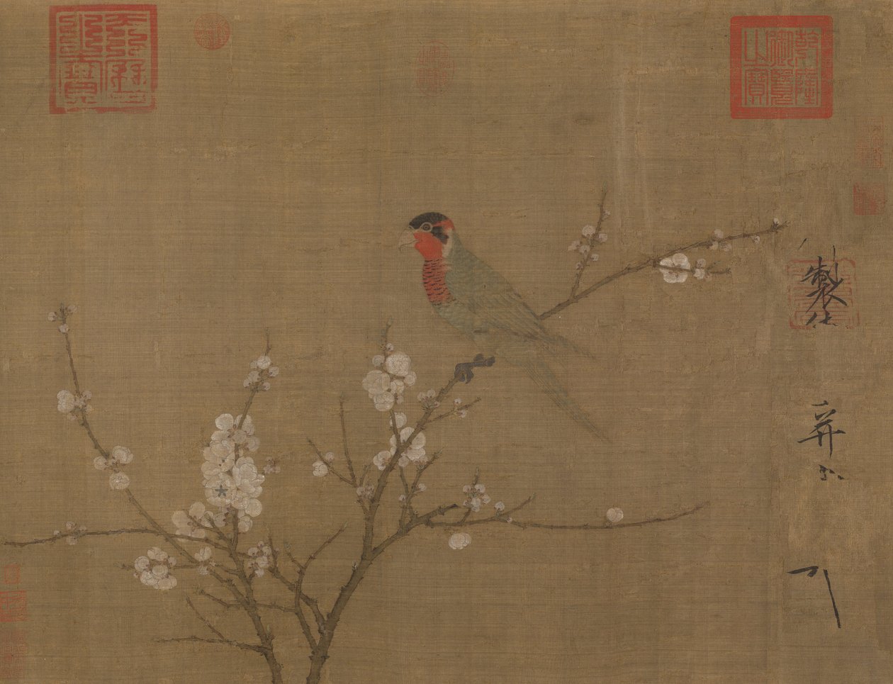 Periquito de cinco colores en un albaricoquero en flor de Emperor Huizong
