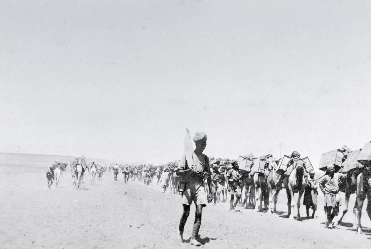 Un tren de suministros con camellos en Mesopotamia durante la Primera Guerra Mundial, de un álbum compilado por el Teniente Kindom de English Photographer