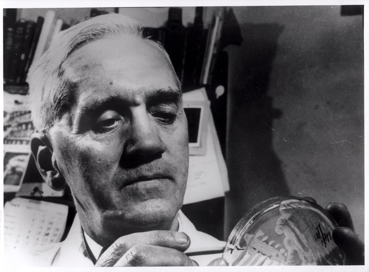 Alexander Fleming (1881-1955) c.1945 de English Photographer