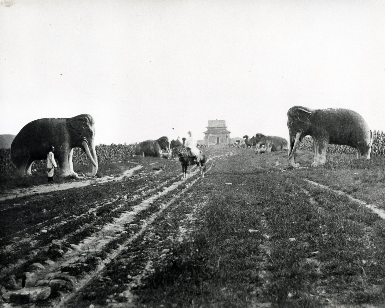 Avenida de animales guardianes que conducen a las Tumbas Ming, Pekín, c.1868-70 de English Photographer