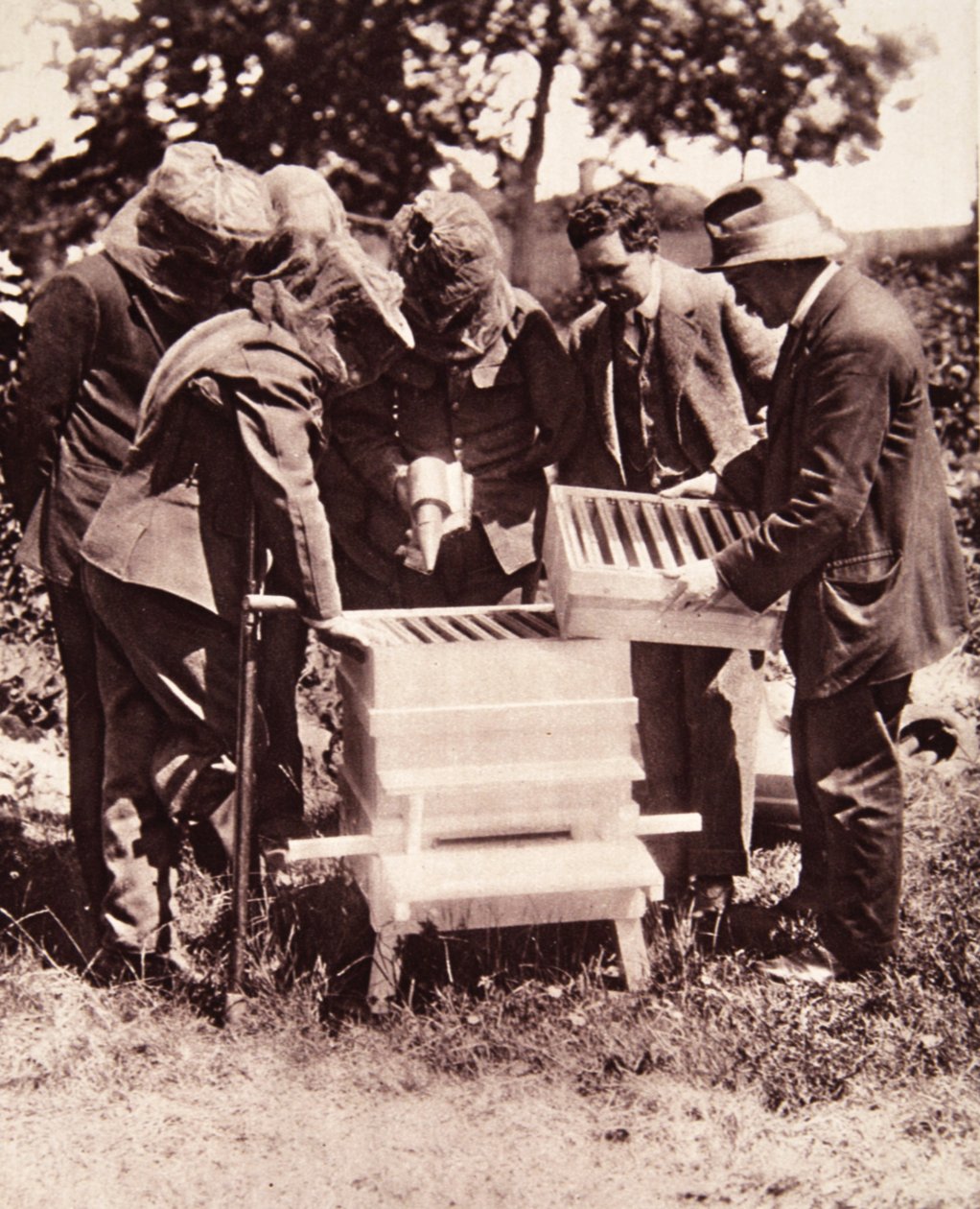 Instrucción en apicultura bajo el esquema de Lord Eglinton: una clase enmascarada en las colmenas, de The Illustrated War News, 5 de julio de 1916 de English Photographer