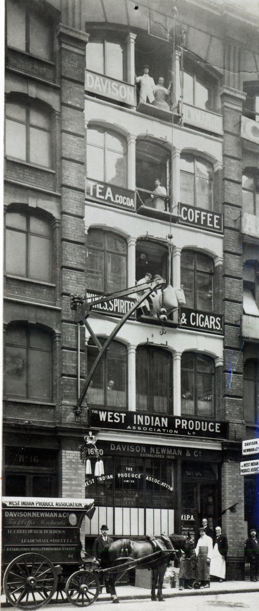 Davison Newman y co, Creechurch Lane, Londres c.1920 de English Photographer