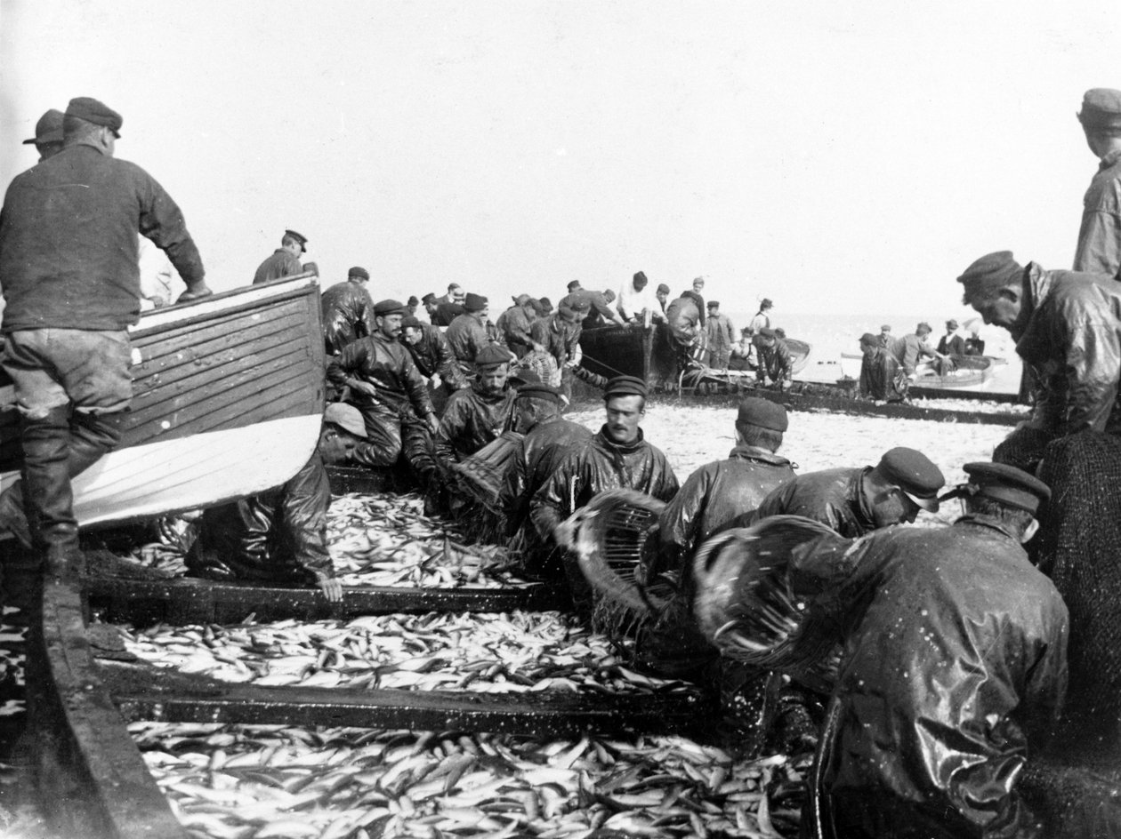 Pescador con su captura, c.1890 de English Photographer