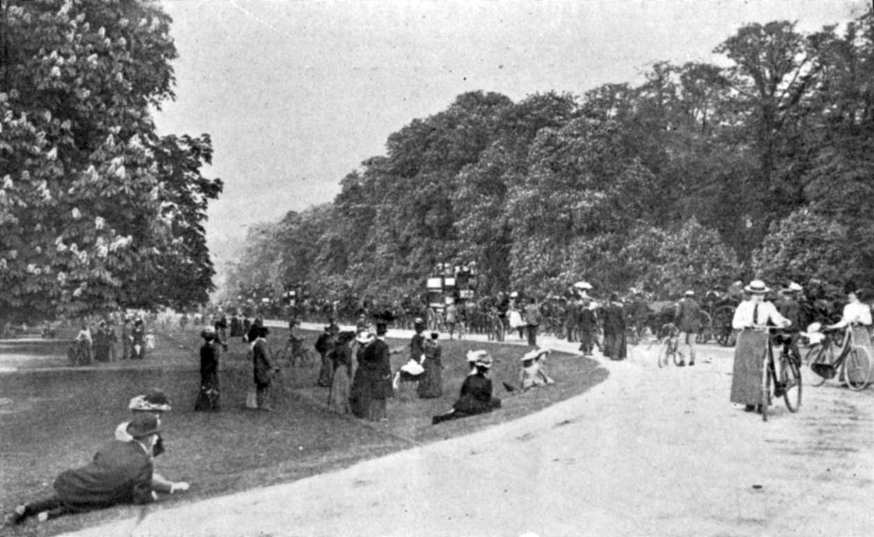 Vista general de Bushey Park, ilustración de The King, 25 de mayo de 1901 de English Photographer