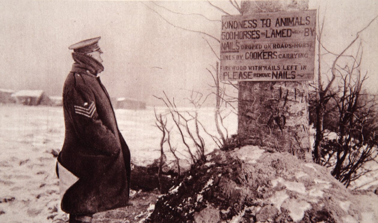 Amabilidad con los animales, ilustración de The Illustrated War News, 7 de febrero de 1917 de English Photographer