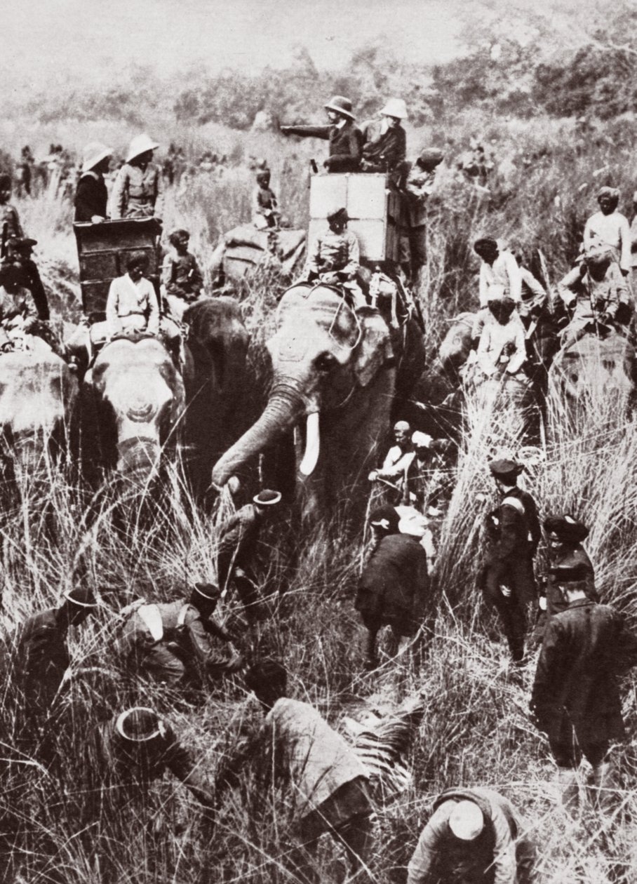 El rey Jorge cazando tigres en Nepal de English Photographer