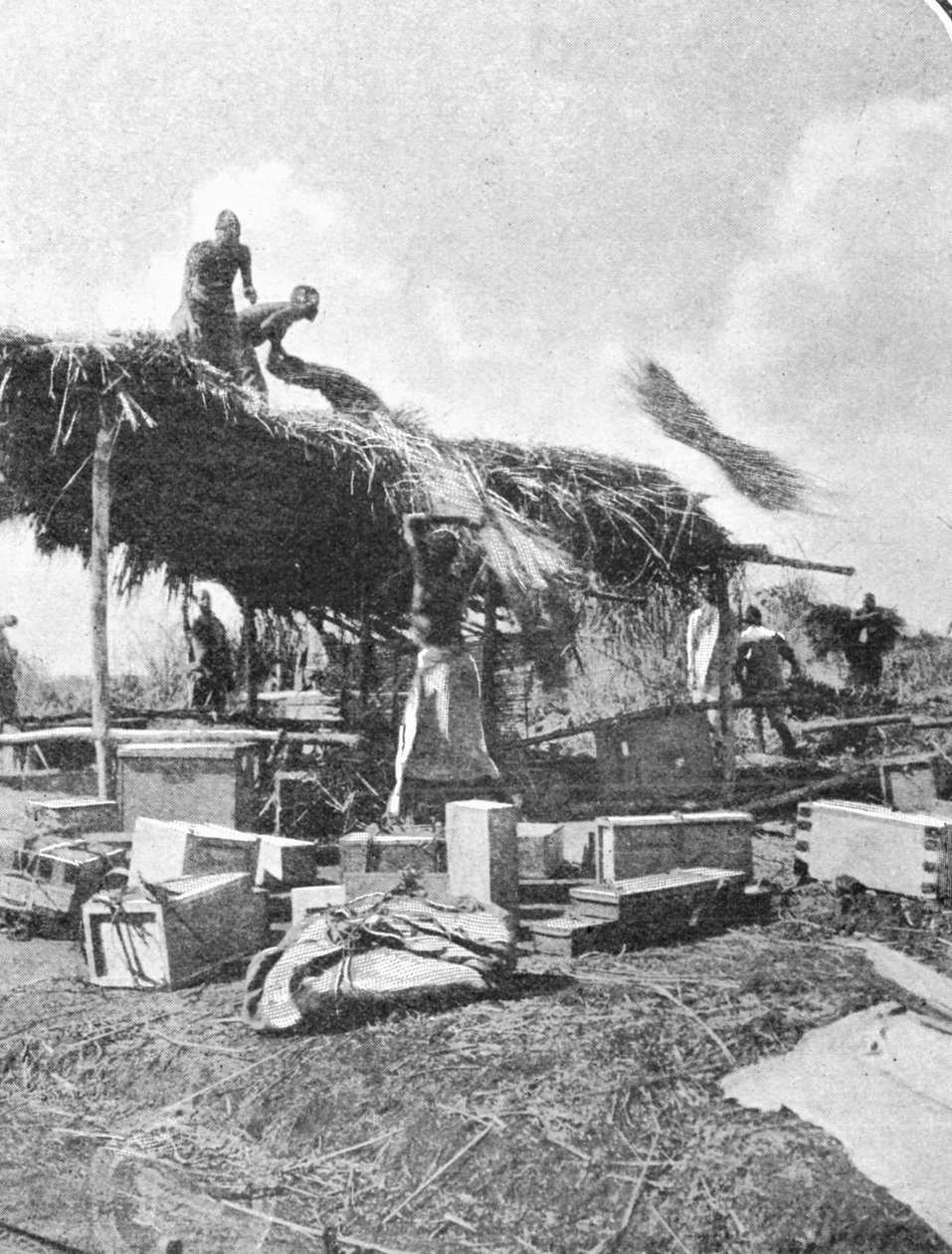 Nativos construyendo una casa de descanso, de un artículo titulado A las Montañas de la Luna publicado en The Graphic, 27 de octubre de 1906 de English Photographer