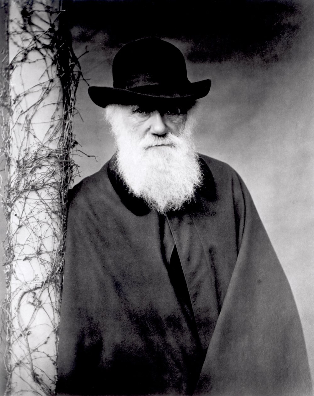 Retrato de Charles Darwin, 1881 de English Photographer