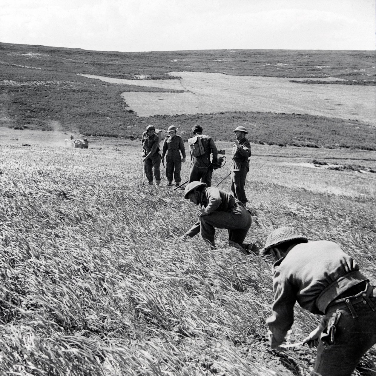 Zapadores de la 237ª Compañía de Campo, Ingenieros Reales, despejando un campo de minas tras el ataque del Primer Ejército a Toukabeur y Chaouach, abril de 1943 de English Photographer