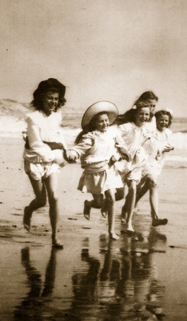 Erizos de mar (fotograbado) de English Photographer