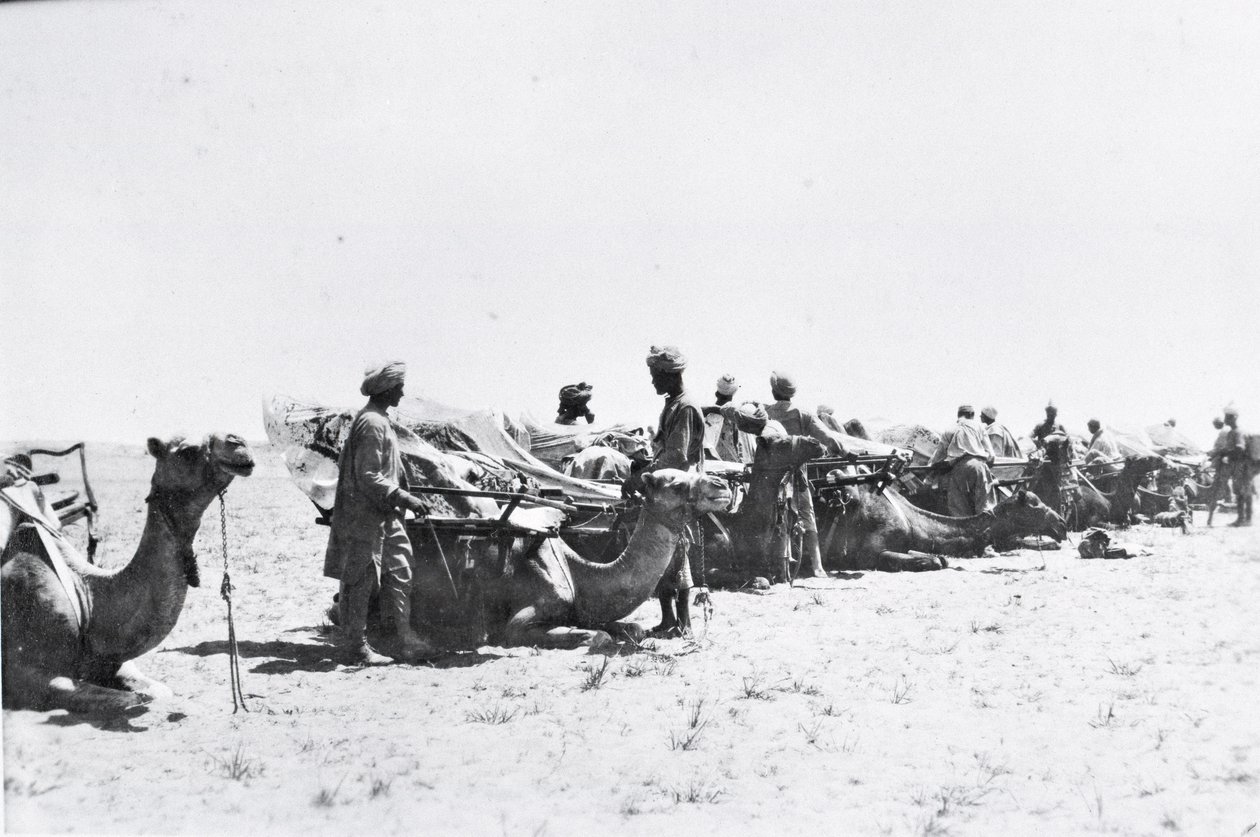 Soldados con camellos en Mesopotamia durante la Primera Guerra Mundial, de un álbum compilado por el Teniente Kindom de English Photographer