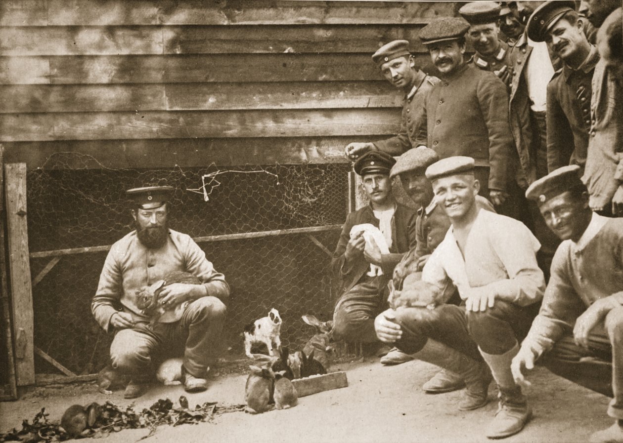 Algunas Mascotas de los Prisioneros, Dorchester, ilustración de Prisioneros Alemanes en Gran Bretaña de English Photographer