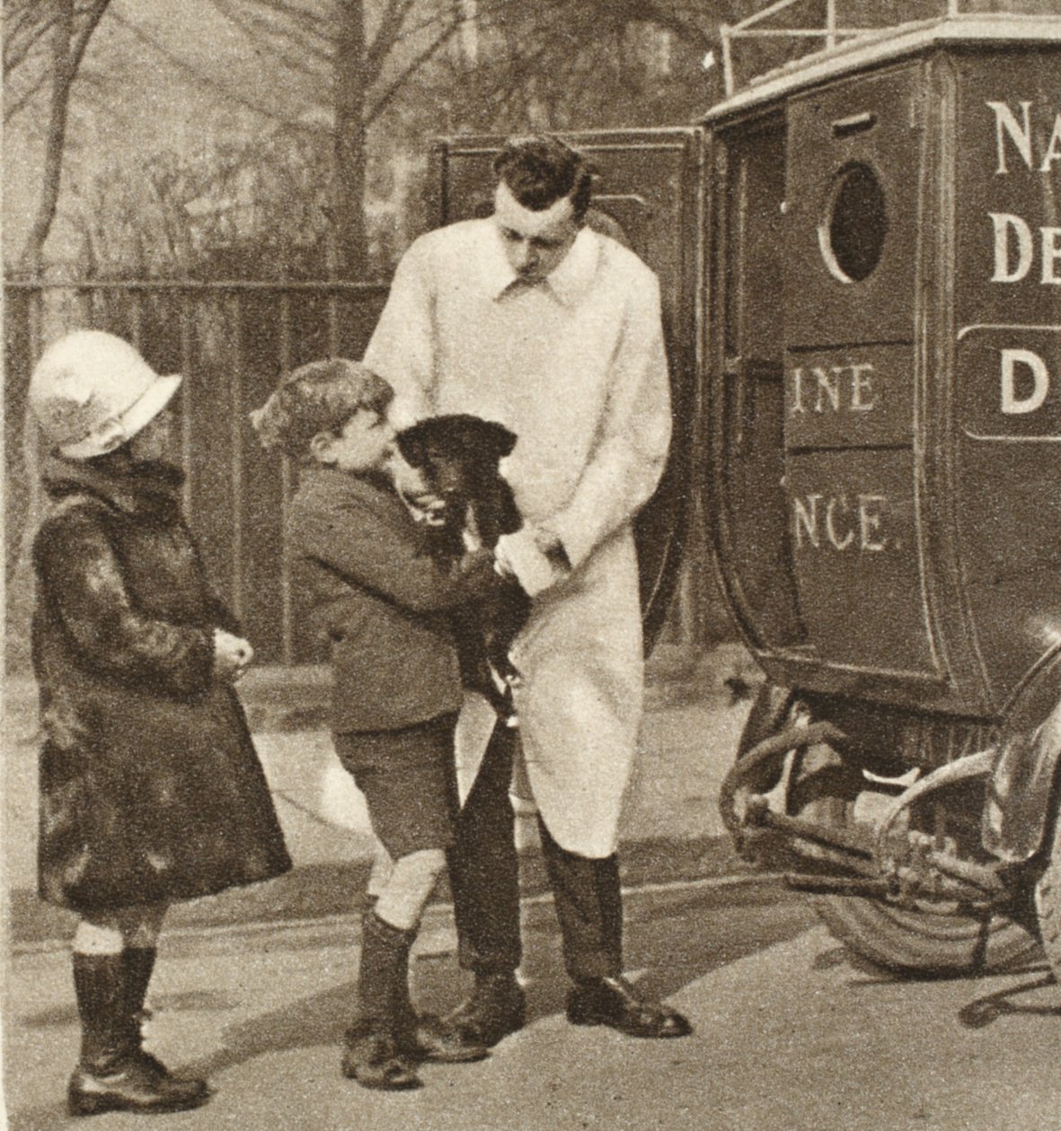 El veterinario de la sucursal de Fulham de The Peoples Dispensary for Sick Animals, de Wonderful London, publicado 1926-27 de English Photographer
