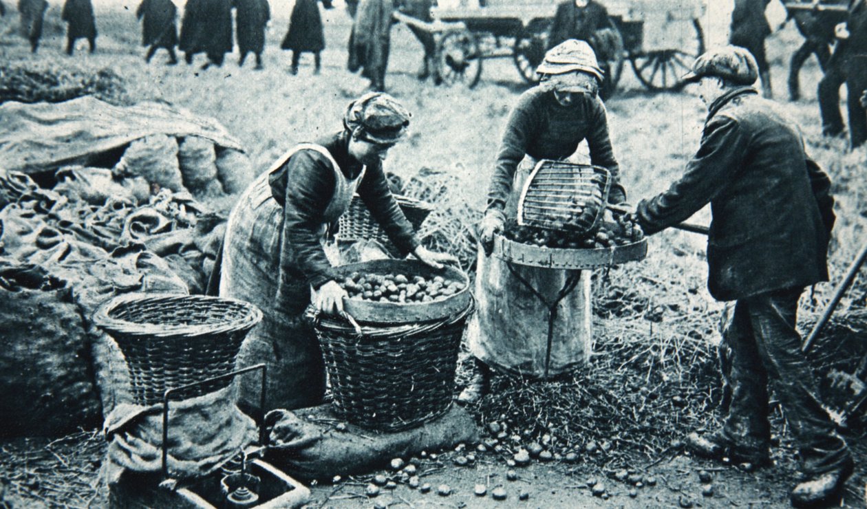Mujeres trabajadoras de guerra en la tierra, ilustración de The Illustrated War News, 7 de marzo de 1917 de English Photographer