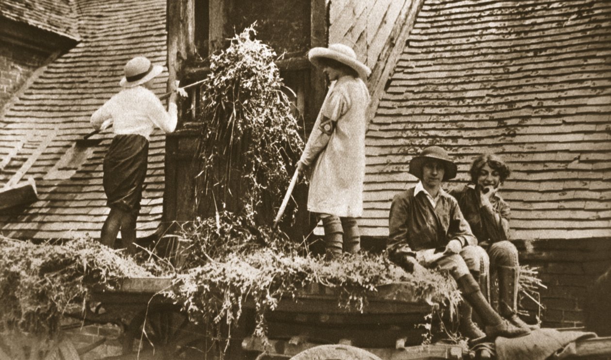 Mujeres en la tierra: algunas escenas interesantes en Evesham, de The Illustrated War News, 21 de junio de 1916 de English Photographer
