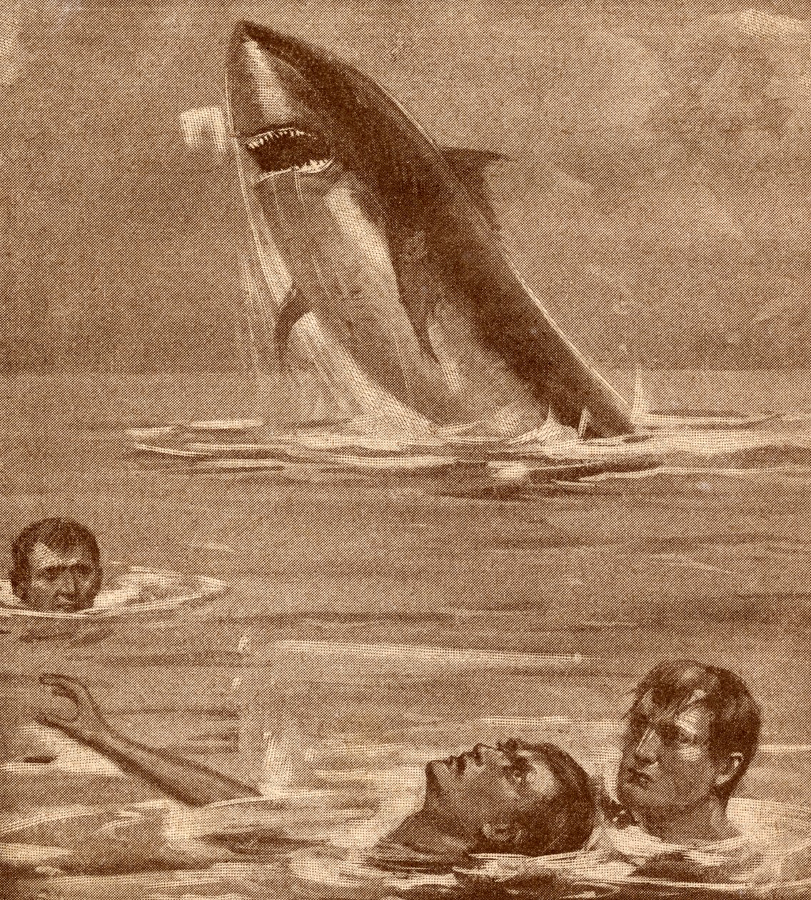 Ilustración del siglo XIX de un hombre rescatando a un nadador con un tiburón en el fondo de English School