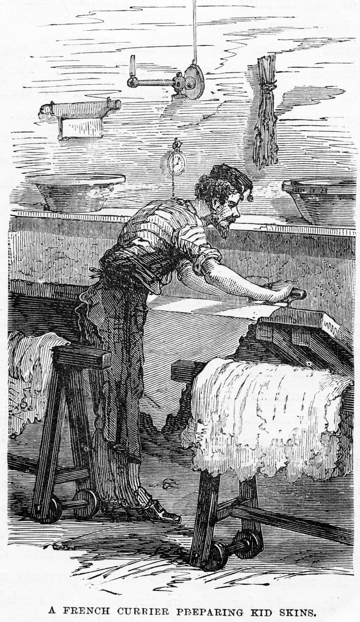 Un curtidor francés preparando pieles de cabrito de English School