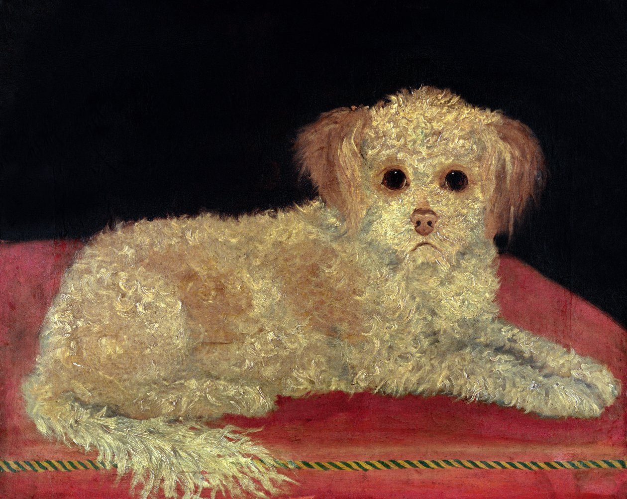 Un Terrier en un cojín rojo, Escuela Provincial de English School